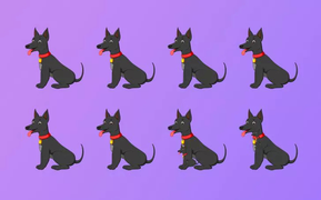 Có bao nhiêu chú chó trong bức hình?