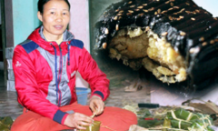Ngôi làng ở Hưng Yên gói bánh gai to bằng bánh chưng đón Tết