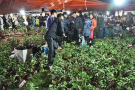 Những phiên chợ 'độc lạ' đầu năm mới của người Việt