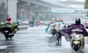 Thời tiết ngày 20/1: Miền Bắc mưa rào và dông diện rộng, đề phòng sạt lở