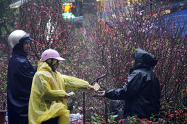 Miền Bắc đón rét đậm kèm mưa dịp Tết Nguyên đán