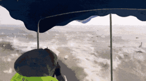 Video: Đã mắt xem cảnh hàng nghìn con cá đua nhau nhảy lên khỏi mặt hồ 