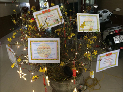 Cười mệt với bộ sưu tập cây cảnh trưng Tết không đụng hàng, có tiền cũng khó mua