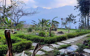 Ngôi nhà của bố