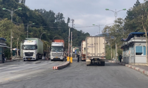 Lạng Sơn thí điểm 'cửa khẩu số để chống tiêu cực