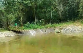 Lao xuống ao cứu 2 vợ chồng hàng xóm, cả 3 cùng chết đuối thương tâm