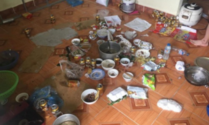 Trở lại phòng sau Tết, xỉu ngang khi thấy 'bạn trọ mới' và 'khách không mời'