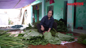 Video: Làng lá dong 600 năm ở Hà Nội tất bật ngày giáp Tết