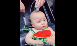 Em bé hoang mang khi được làm tóc đón Tết