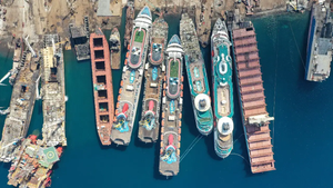 Cách các hãng du thuyền thích nghi với làn sóng Omicron