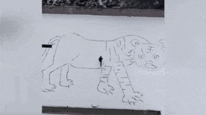 Video: Mừng năm mới, người đàn ông dùng chân vẽ hình hổ khổng lồ trên tuyết