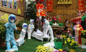 Ảnh: Đường hoa rộn ràng sắc xuân trong bệnh viện ở TP.HCM