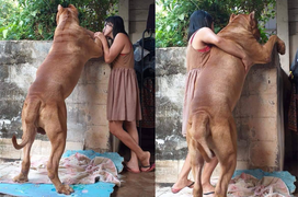 Lần đầu đến nhà bạn gái, thanh niên ‘chân lạnh toát’ khi thấy cảnh trước mắt