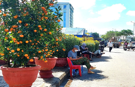 Chợ hoa những ngày giáp Tết: Trăm người bán, lác đác người mua