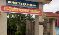 Học sinh Hải Phòng bị đánh tím mông: Đình chỉ công tác giáo viên chủ nhiệm