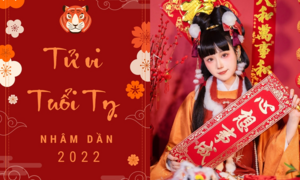 Tử vi năm Nhâm Dần 2022 của người tuổi Tỵ