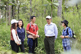 Về lại Yok Đôn, khu rừng khộp lớn nhất cả nước