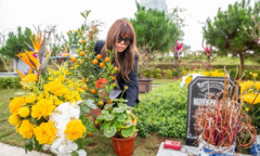 Từ Mỹ về, Ngọc Anh 3A hát 'Điều giản dị' bên mộ nhạc sĩ Phú Quang