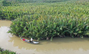 Ảnh: Khám phá rừng dừa nước trăm tuổi trên dòng Kinh Giang