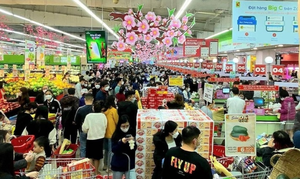 Biển người sắm Tết tại siêu thị Big C Hà Nội 