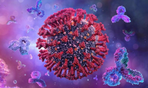 Kháng thể tồn tại 15 tháng sau khi F0 khỏi bệnh