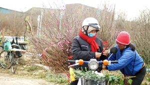 Không khí lạnh tràn về, vùng núi có thể xảy ra mưa tuyết trong những ngày Tết