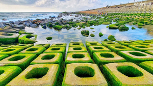 Xuân về, Phú Yên lại hiện lên một ‘thiên đường rêu xanh’ đẹp mê ly