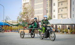 Ảnh: Kiếm tiền triệu mỗi ngày từ nghề 'chở Tết’