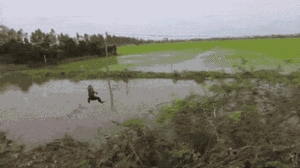 Video: Nông dân dùng cần câu bắt ếch đồng