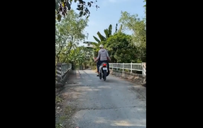 Mất chậu hoa chơi Tết vì thích làm 'tổ lái'