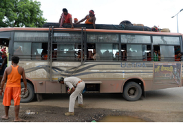 Bị ép làm mật báo rượu lậu, giáo viên sợ bị mafia trả thù