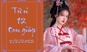 12 con giáp ngày 8/2: Tuất dễ chia ly, Sửu làm gì cũng thuận