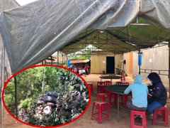 Tai nạn 6 người chết ở Gia Lai: Tang thương bao trùm cả khu phố