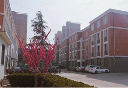 Miệt thị, dọa dẫm sinh viên, giáo viên bị đuổi việc