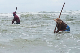 Ảnh: Ngư dân bỏ túi tiền triệu nhờ cào 'lộc biển'