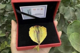 Dân mạng lũ lượt khoe thành quả mua vàng ngày vía Thần Tài, nhưng nhìn cứ lạ lắm