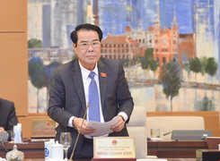 Cử tri đề nghị xử lý nghiêm sai phạm tại Cục Lãnh sự, Bộ Ngoại giao