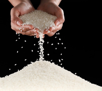 Những loại gạo đặc sản, gạo thơm, gạo sạch phổ biến của A An 