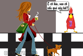 Chú vẹt thông minh làm gái đẹp nổi điên