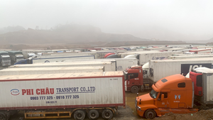 Ảnh: Hơn 1.900 container xếp hàng trong mưa, chờ thông quan ở cửa khẩu Lạng Sơn