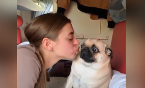 Cún con sợ hãi khi bị cô chủ 'cưỡng hôn'