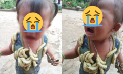 Bé gái bị thả chục con tằm bò khắp người, biểu cảm đáng thương dấy lên tranh cãi