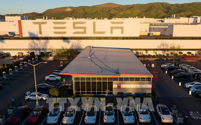 Hơn 400.000 ôtô điện Tesla đang bị điều tra vì sự cố phanh ảo