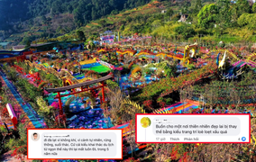 Vườn Thượng Uyển mọc giữa đồi Đà Lạt bị chê quá lòe loẹt