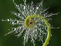 Loạt ảnh gây sững sờ vì sự hoàn hảo diệu kỳ của tạo hóa