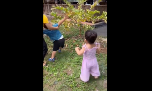 Cậu bé còn đóng bỉm đã biết ga lăng