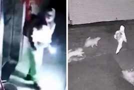 Cậu bé đi học từ 5h sáng, bố vẫn dõi theo dù ở cách 800 km