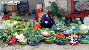 Giá rau xanh tăng 'sốc'