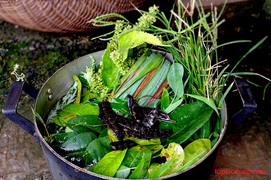  Xông phòng ở, nơi làm việc để ngừa COVID-19 thế nào cho đúng?