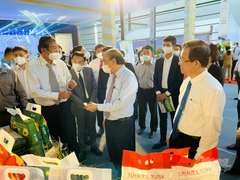 Tập đoàn Tân Long thỏa thuận hợp tác bao tiêu lúa gạo quy mô lớn tại 2 tỉnh